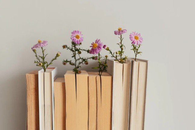 Why These Books Are Essential for Women's Growth