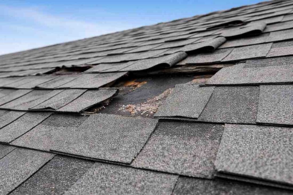 Missing or Damaged Shingles