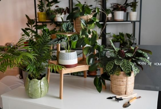 Bring in Elements of Nature