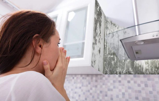 Is Mold Making You Sick - Key Symptoms to Watch For