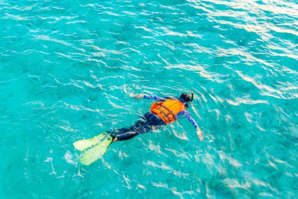 Snorkeling and Diving