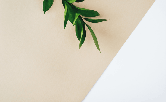 Choose a Calming Color Palette