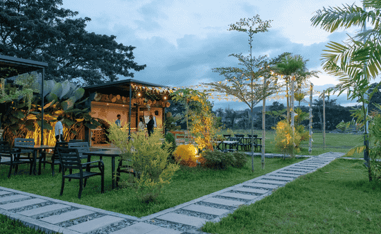 Enhancing Curb Appeal with Minimal Effort