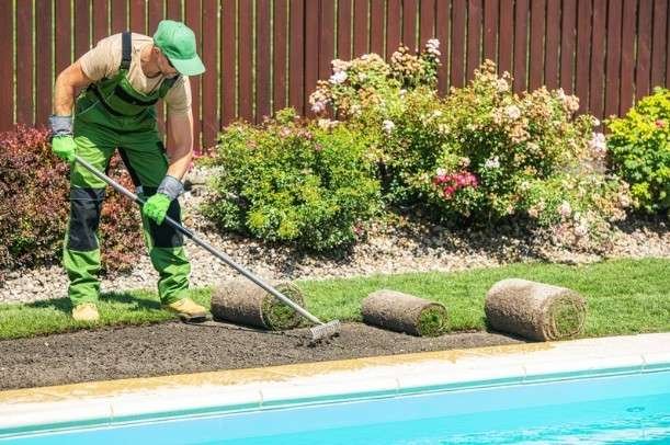 Landscaping-for-Efficiency