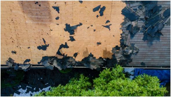 Perform a Thorough Damage Assessment