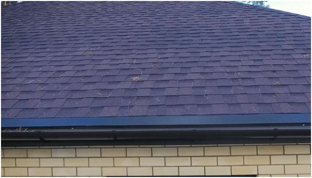 Follow a Step-by-Step Repair Schedule