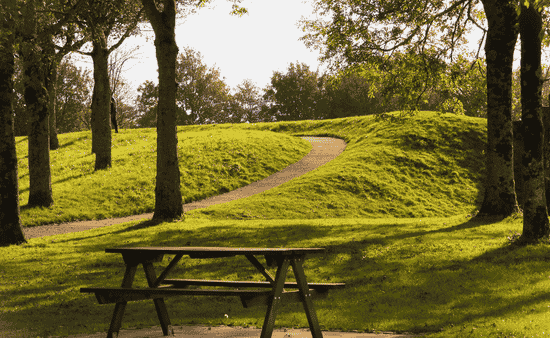 5 Benefits of Investing in Local Parks