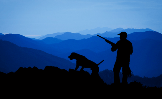 Respect Wildlife and the Environment