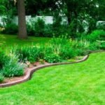 A Month-by-Month Lawn Care Calendar for Utah Homeowners