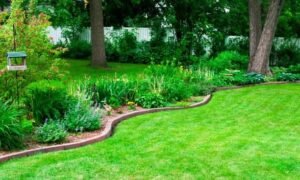 A Month-by-Month Lawn Care Calendar for Utah Homeowners