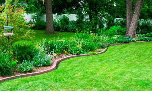 A Month-by-Month Lawn Care Calendar for Utah Homeowners