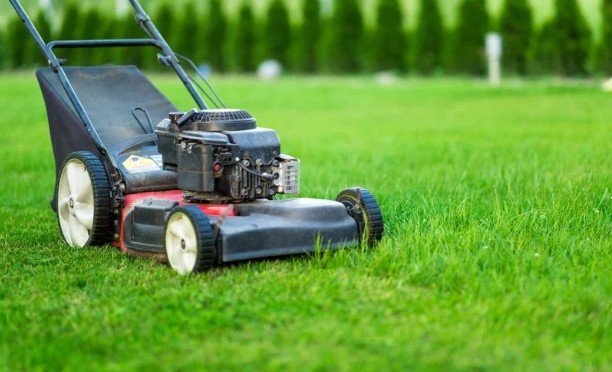 January Through March - Protect Dormancy and Prepare for the First Turn Toward Growth